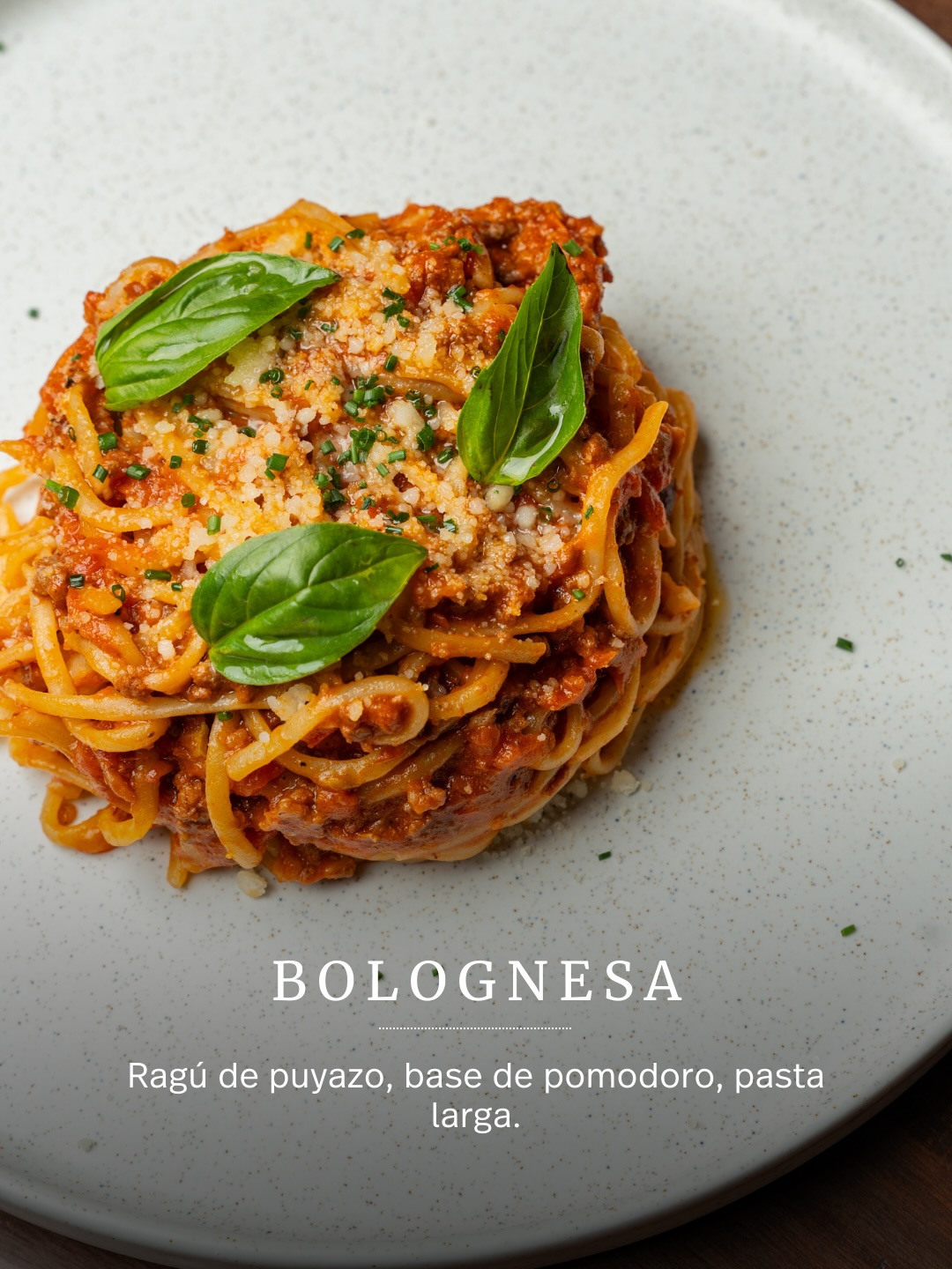 Bolognesa